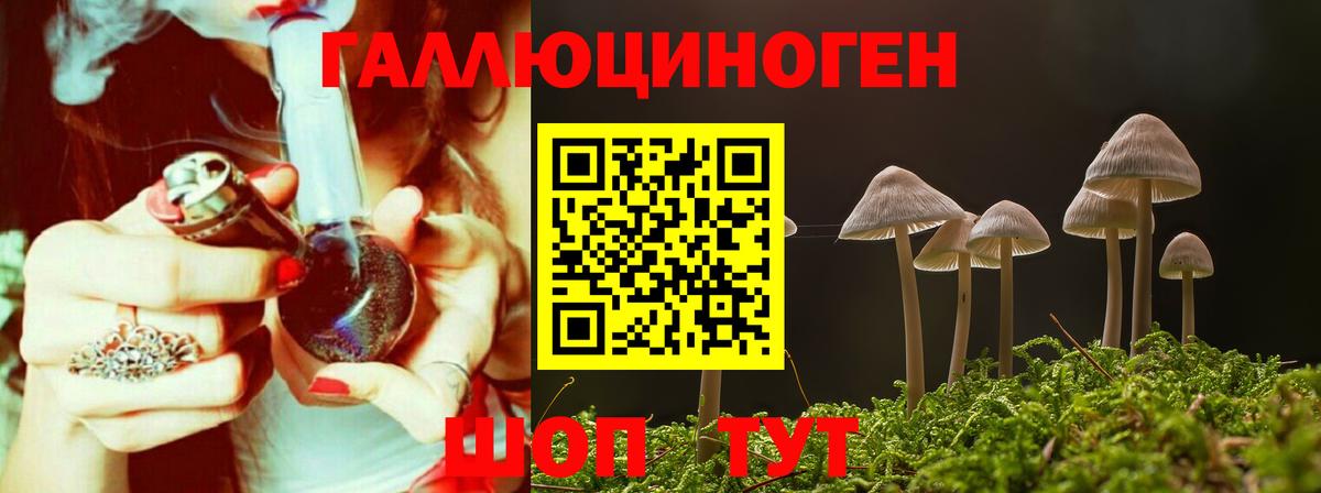 Конаково  Галлюциногенные грибы Psilocybine cubensis  Псилоцибиновые грибы GOLDEN TEACHER  Вход с VPN 